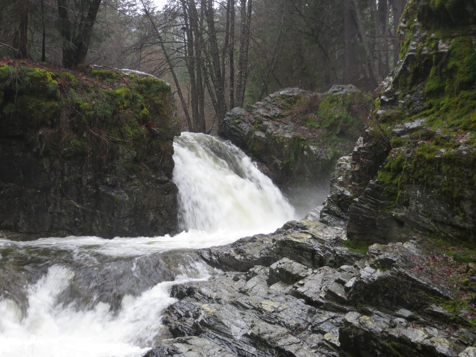 Photo of Shackleford Falls.